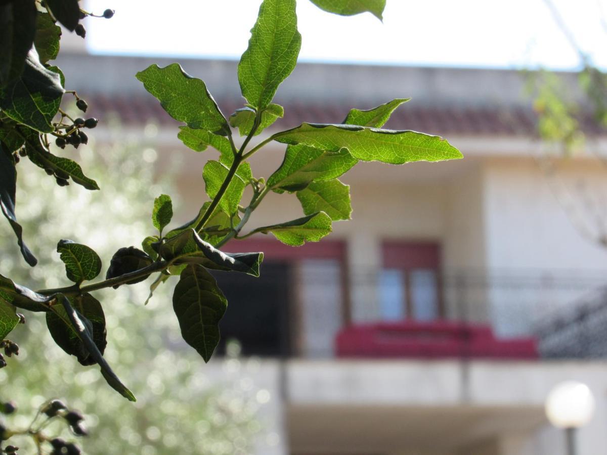 Casa Il Giovane Alloro Martina Franca Exteriér fotografie